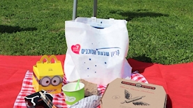 פיקניק בקניון, צילום: יחצ